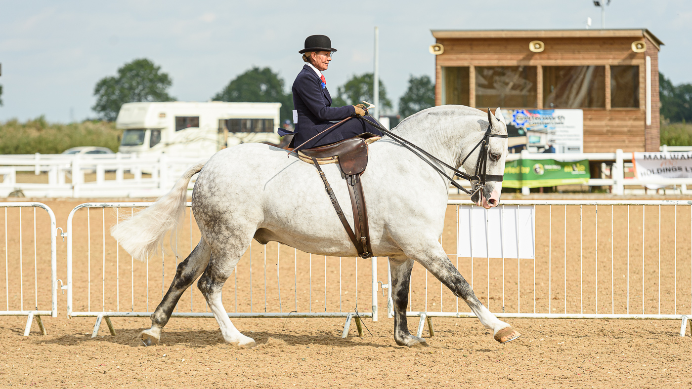 Mears Ladies Show Horse - Danielle Heath and Brookdale Limited Edition