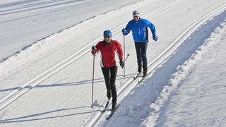 A couple cross country skiing