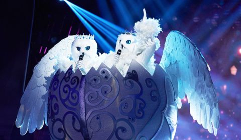 The Masked Singer Season 4: Is The Voting Fair And More Questions After ...