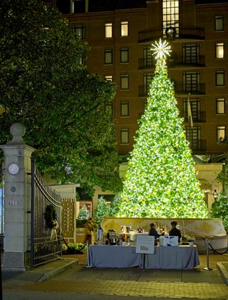 A Christmas tree with white lights and a white star on top at Charleston Place hotel