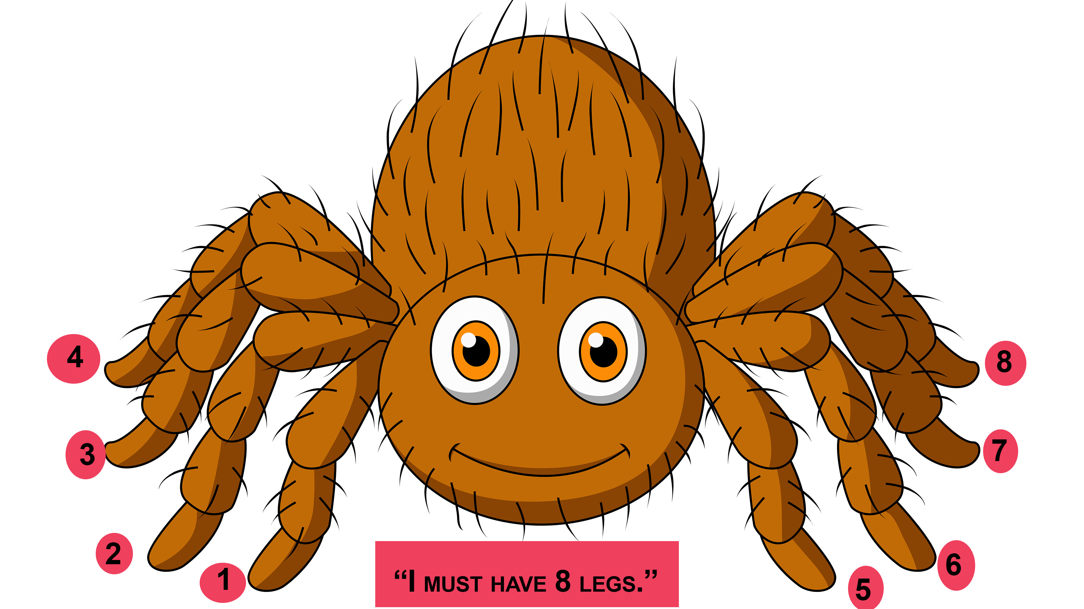 Cartoons of spiders illustrating deductive reasoning.