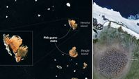 a satellite view of two long islands next to an image of two large clumps of dots seen on a grassy hill lined with snow and ice from an overhead perspective