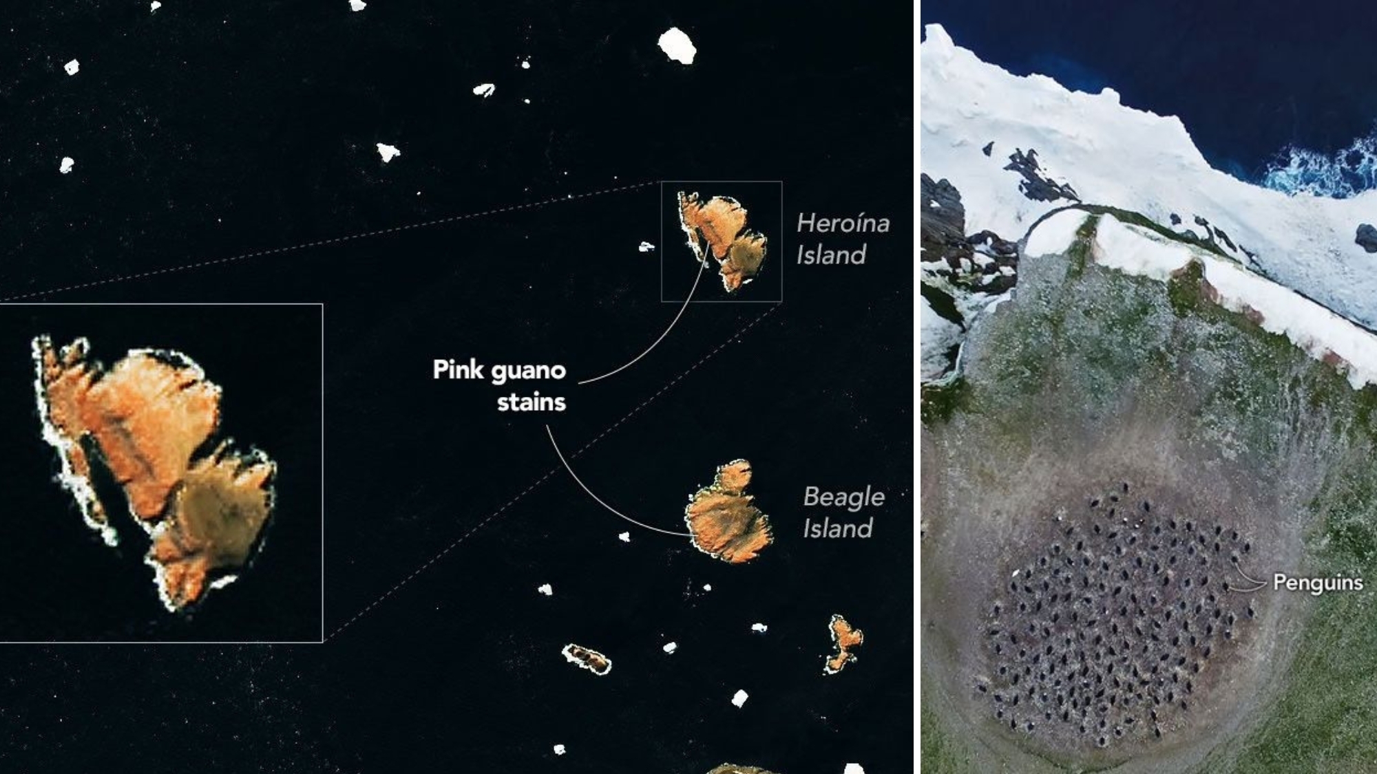a satellite view of two long islands next to an image of two large clumps of dots seen on a grassy hill lined with snow and ice from an overhead perspective