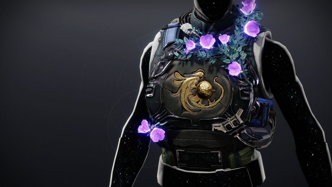Destiny 2 Lost Sector exotic - Arbor Warden