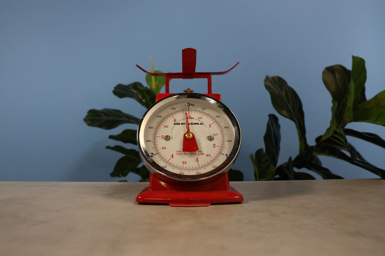 A photo of scales taken on a Canon EOS R6 Mark III