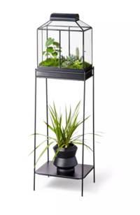 Hilton Carter x Target collection brings greenhouses indoors   Homes   Gardens - 40