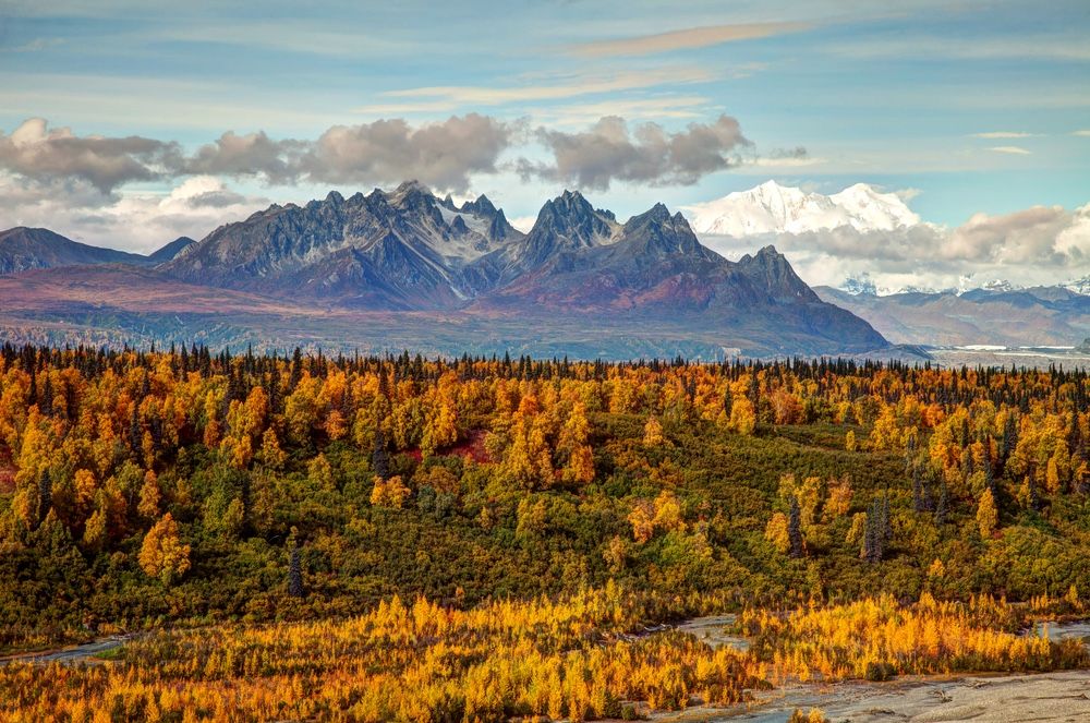 A view of Denali (also called Mount McKinley), the highest peak in North America.