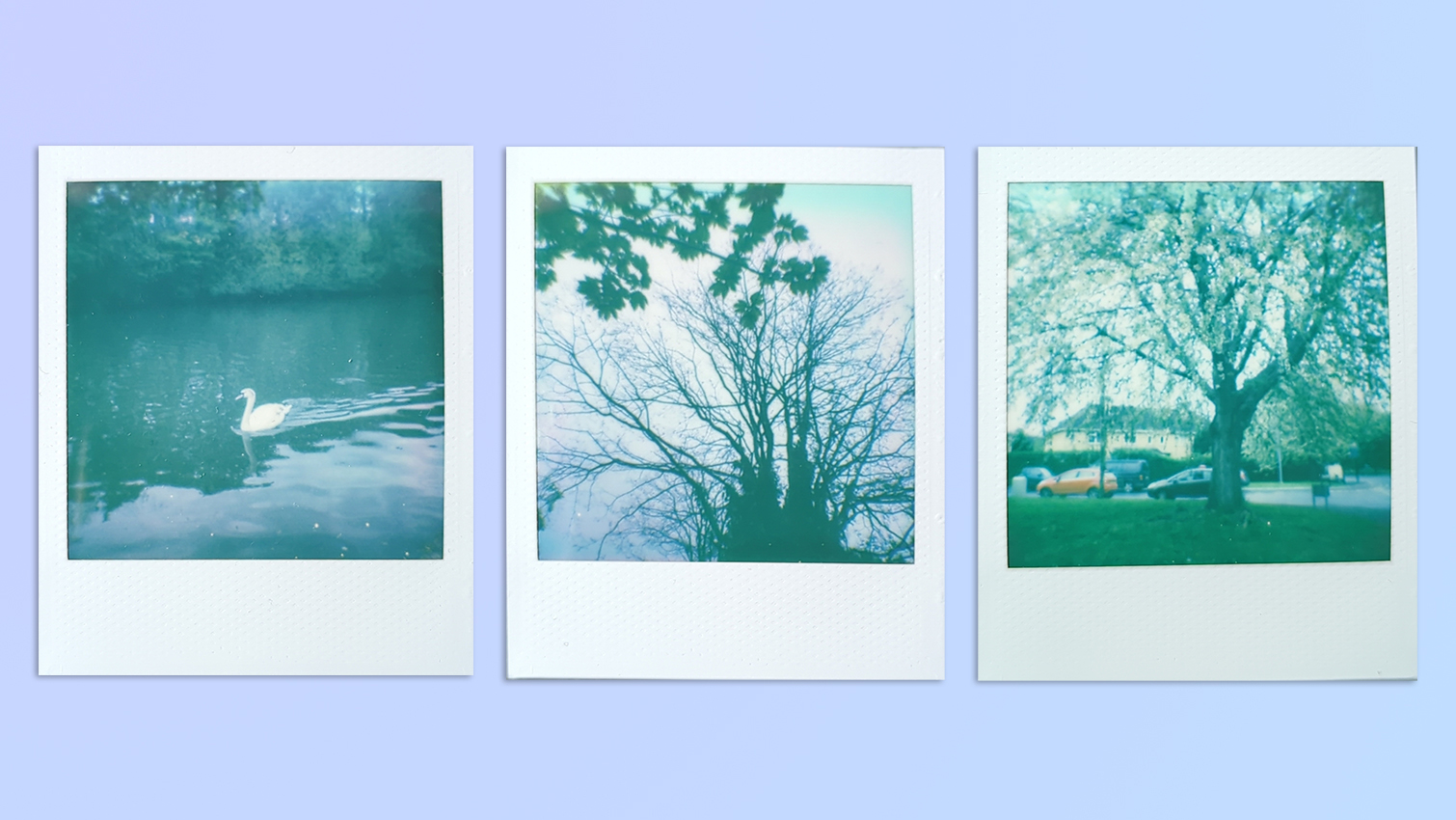 A compilation of scanned film photos taken on a Polaroid Go Gen 2 instant camera