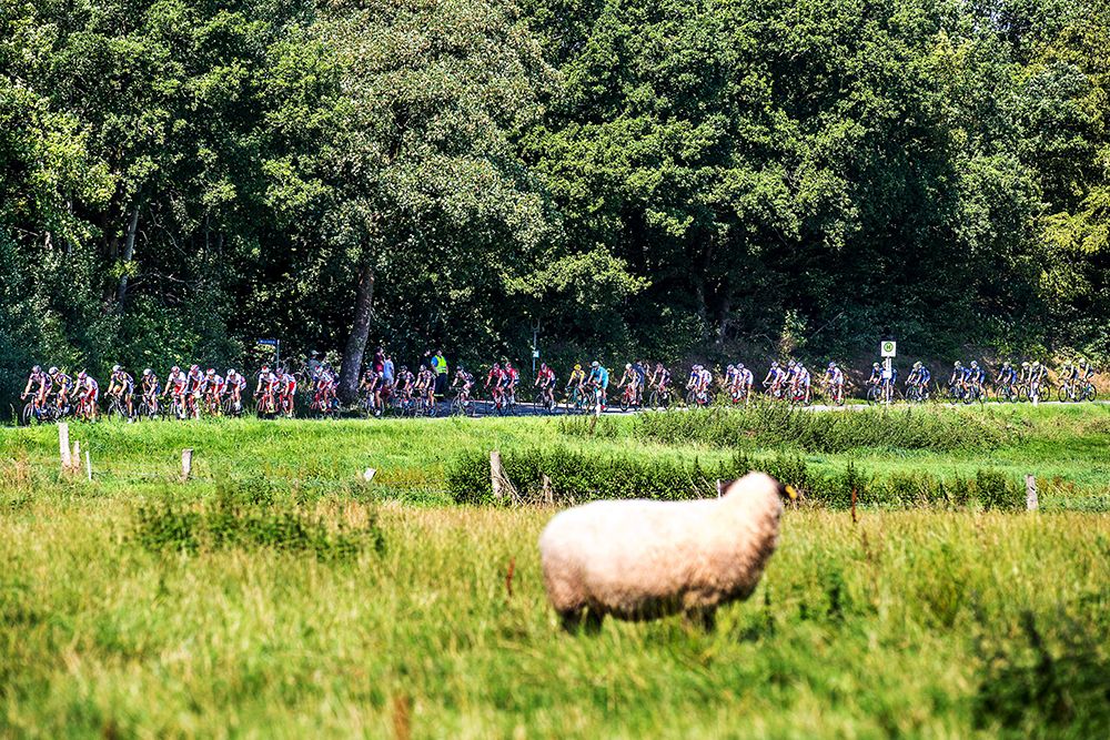 The 2015 Vattenfall Cyclassics