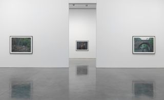 The new series, comprising 31 digital pigment prints, is on view at the Gagosian Gallery in New York.
