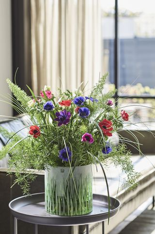 Pink and blue anemones with green foliage in a vase on a coffee table