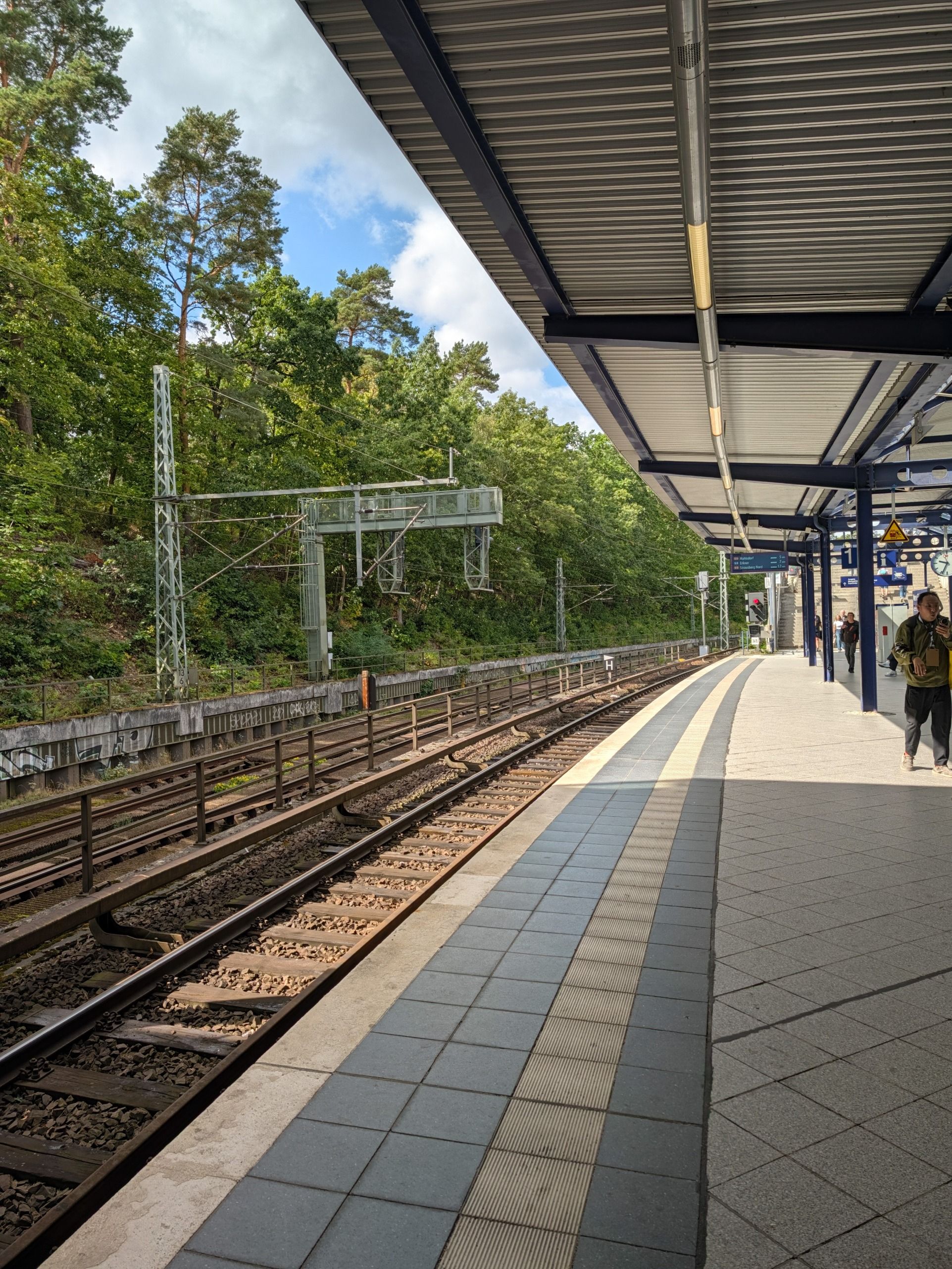 Quiet railway platform with tracks running alongside wooded embankments.