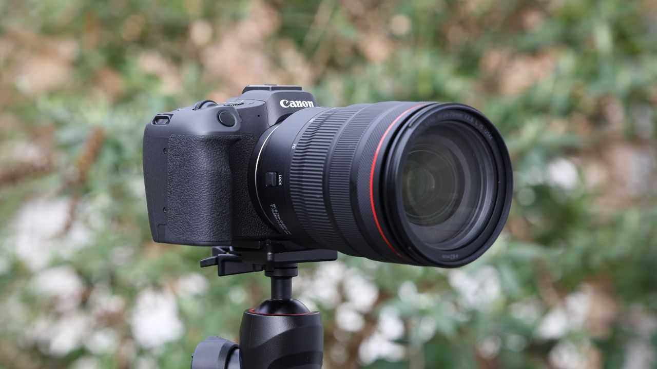 Canon EOS R8 mirrorless digital camera