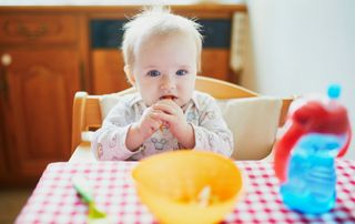 Baby food meal planner weaning 6 - 7 months