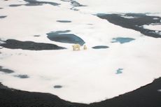 arctic habitats, environment