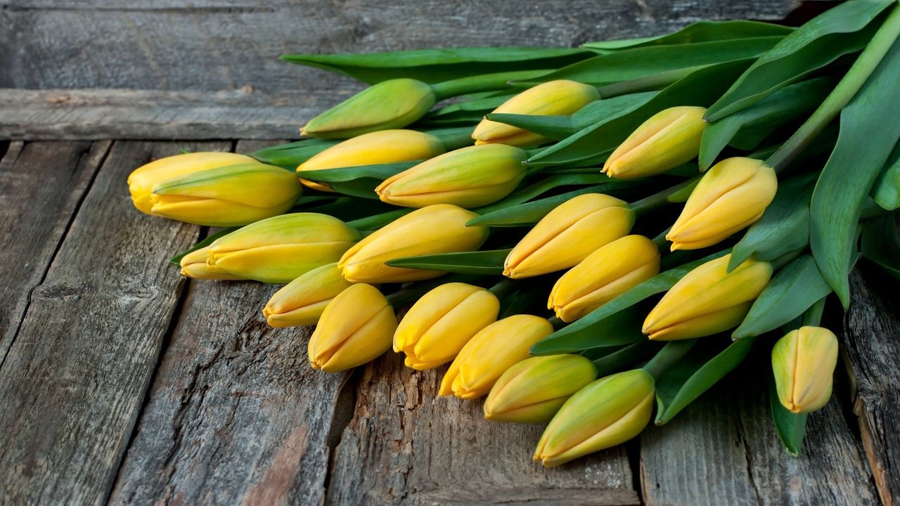 Bunch of yellow tulips on rustic wooden table