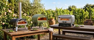 The best pizza ovens for summer 2026