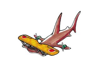 Object-fish hybrid image with the top half as a plane wings and bottom half as a whale