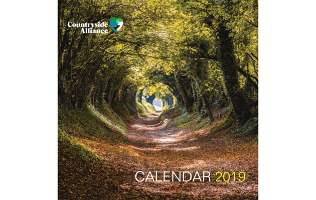 CA calender