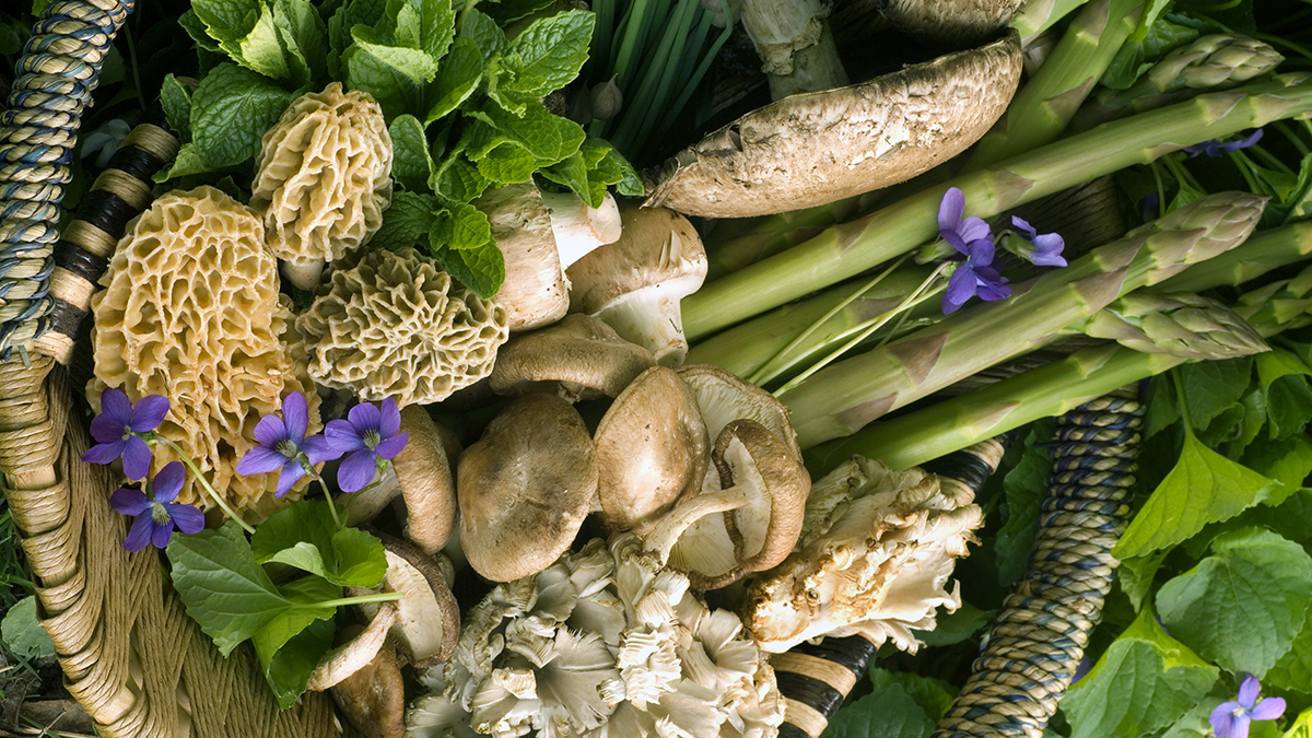 istock_9401845_large.jpg