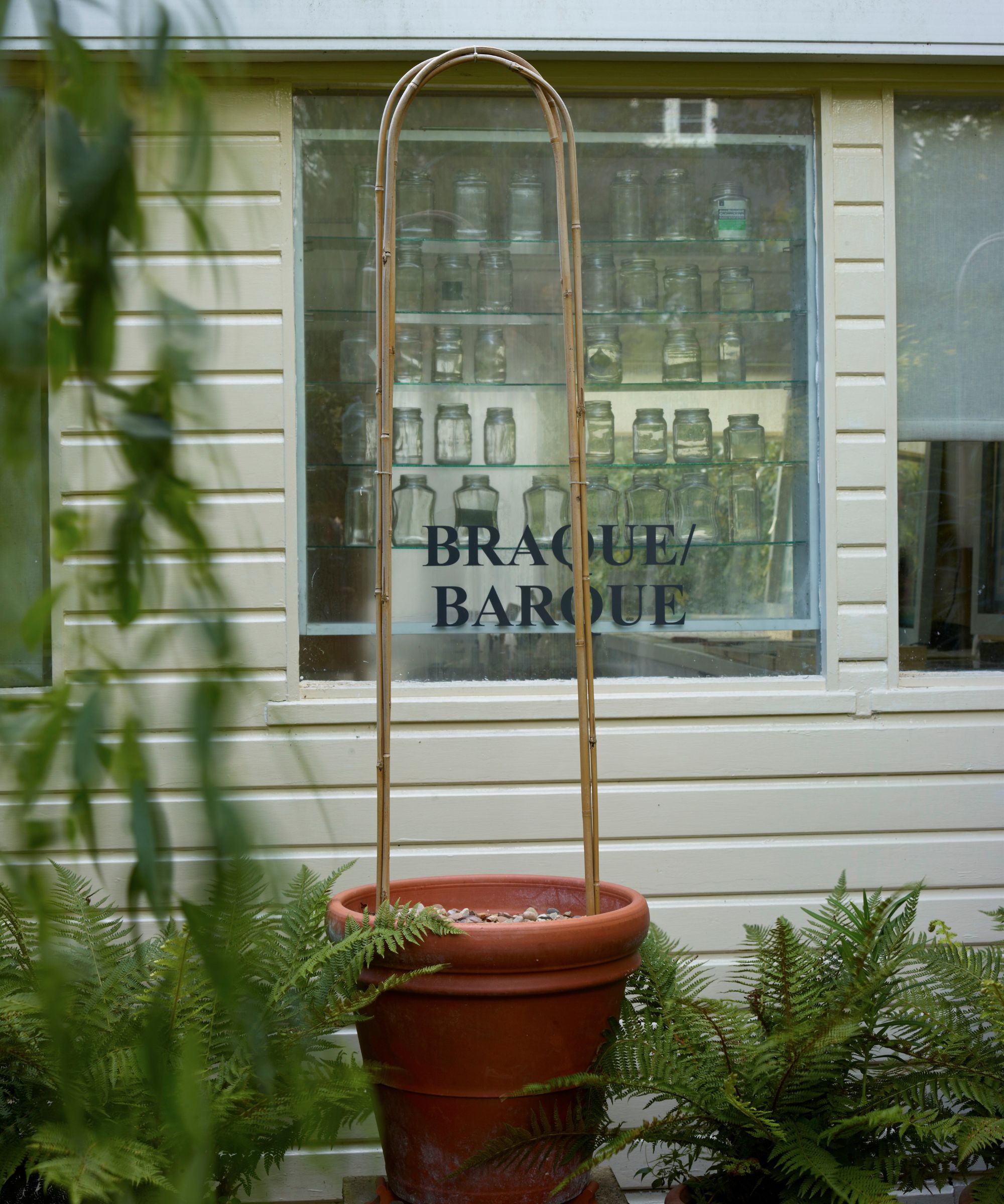 A white garden shed with glass jars seen in the window and a large plant pot with climbing bamboo among leafy plants in the foreground.