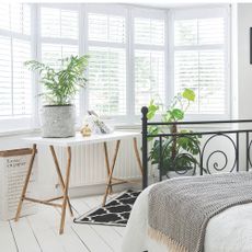 Monstera and areca palm houseplants in bedroom