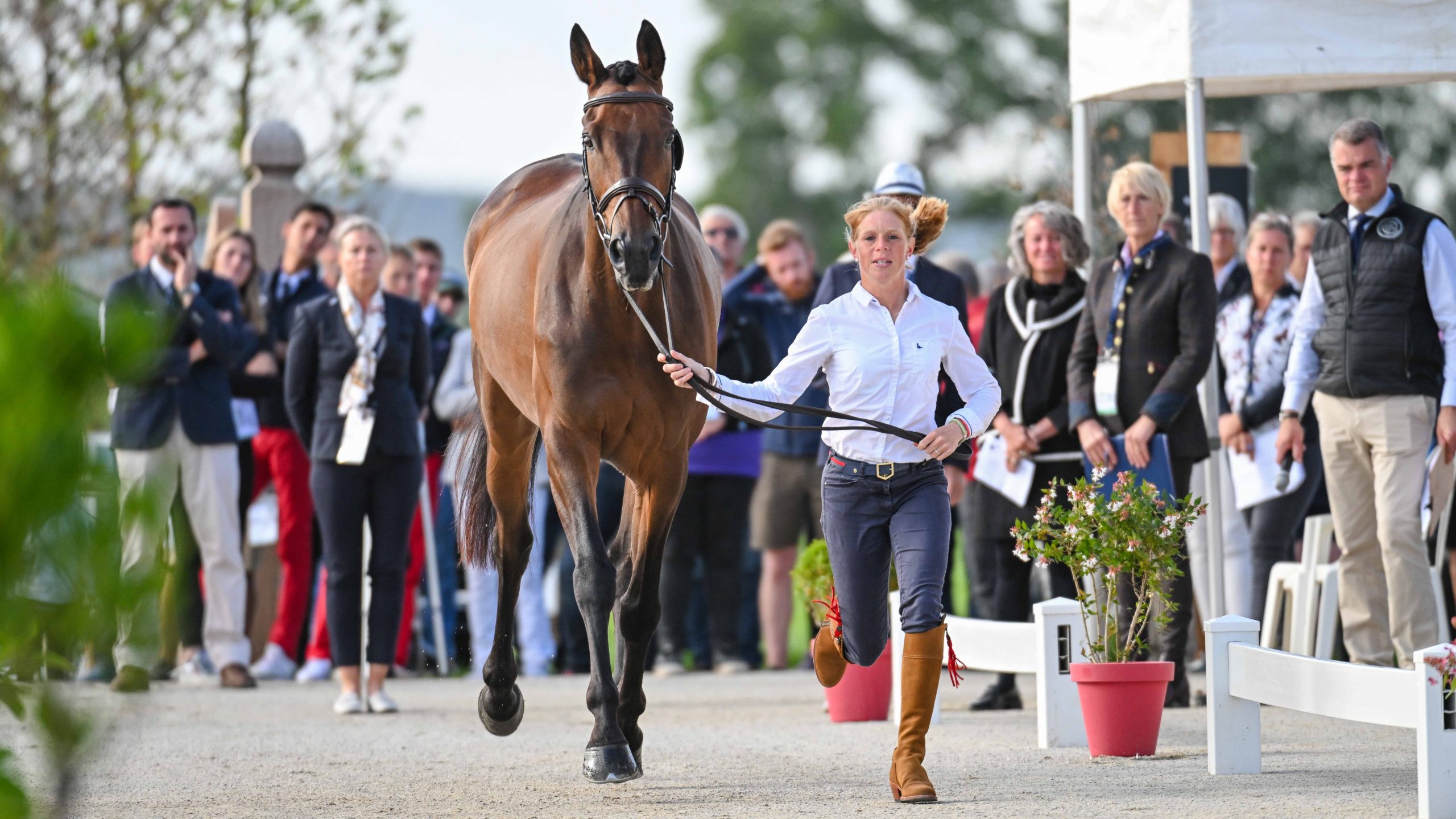 European Eventing Championships final trot-up: Ros Canter and Lordships Graffalo
