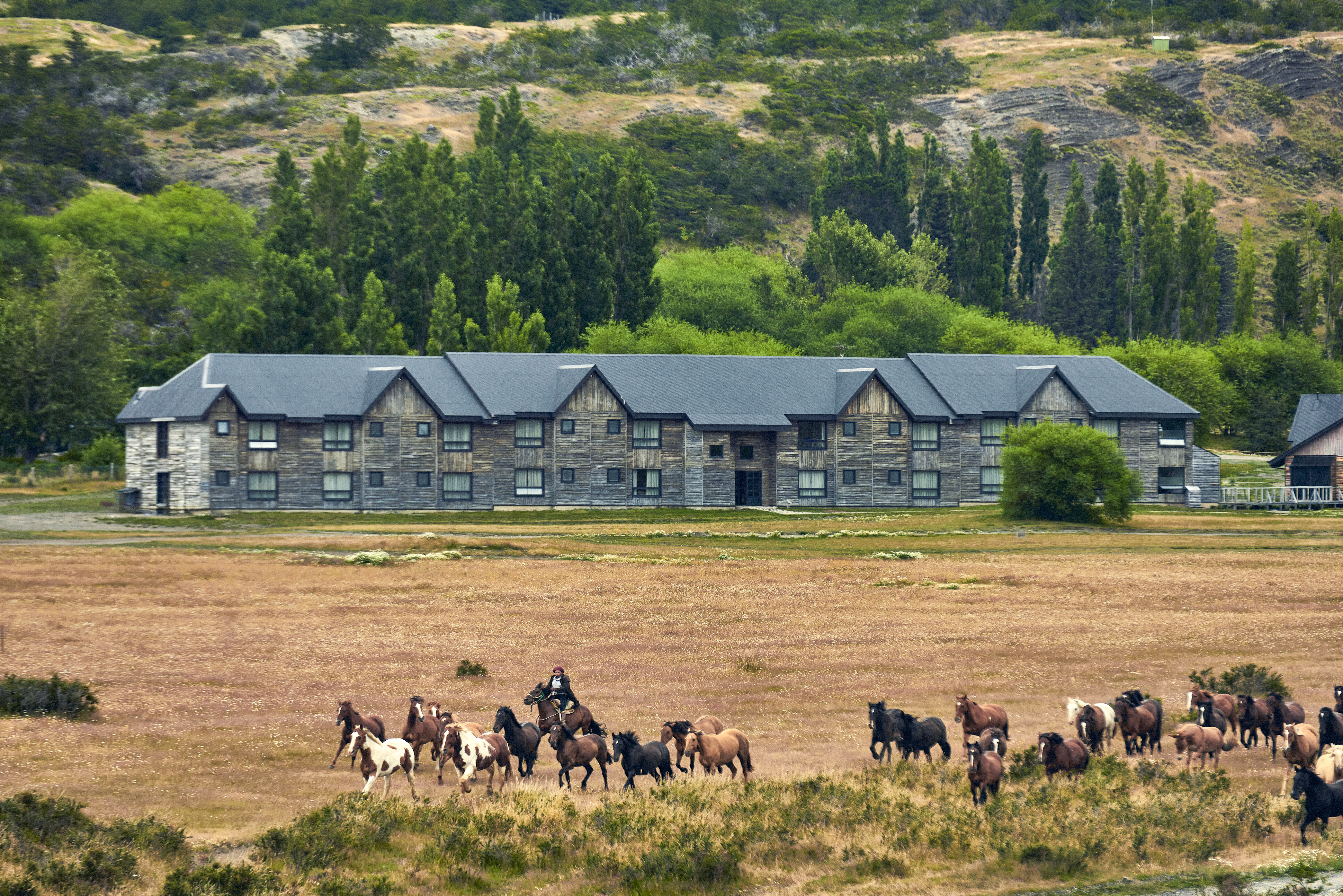 Horses run in front of Hotel Las Torres Patagonia