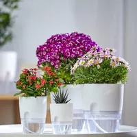 ETGLCOZY 6/4.1/3.2 Inch Self Watering Planter Pots | $19.99 at Amazon
