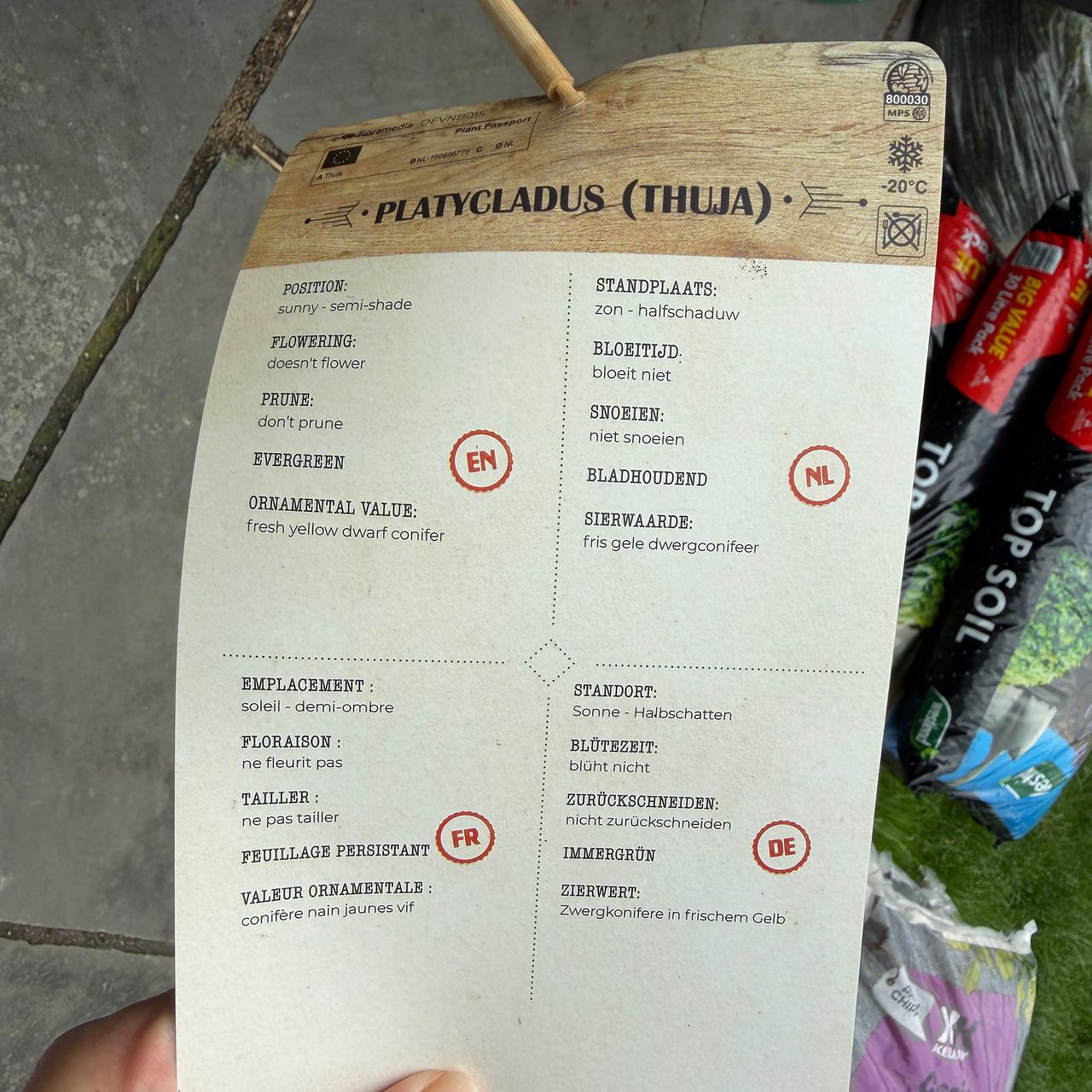 Person holding plant label