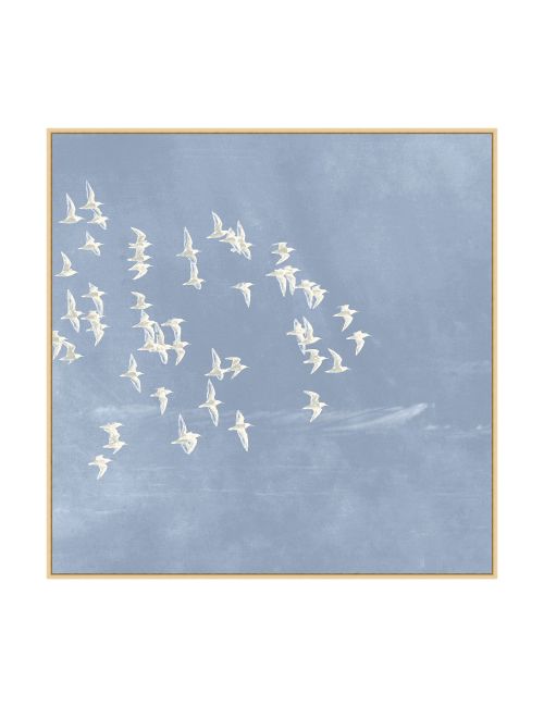 Blue Day Flight 2 Print