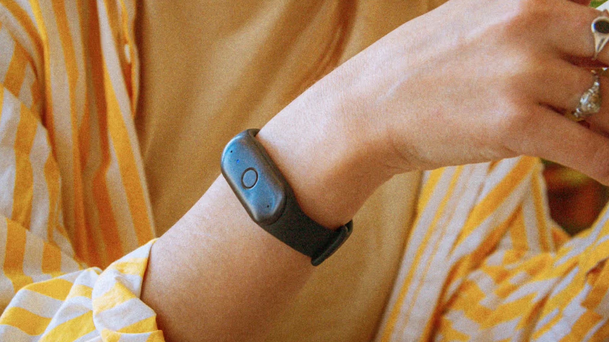 Bee AI wearable device