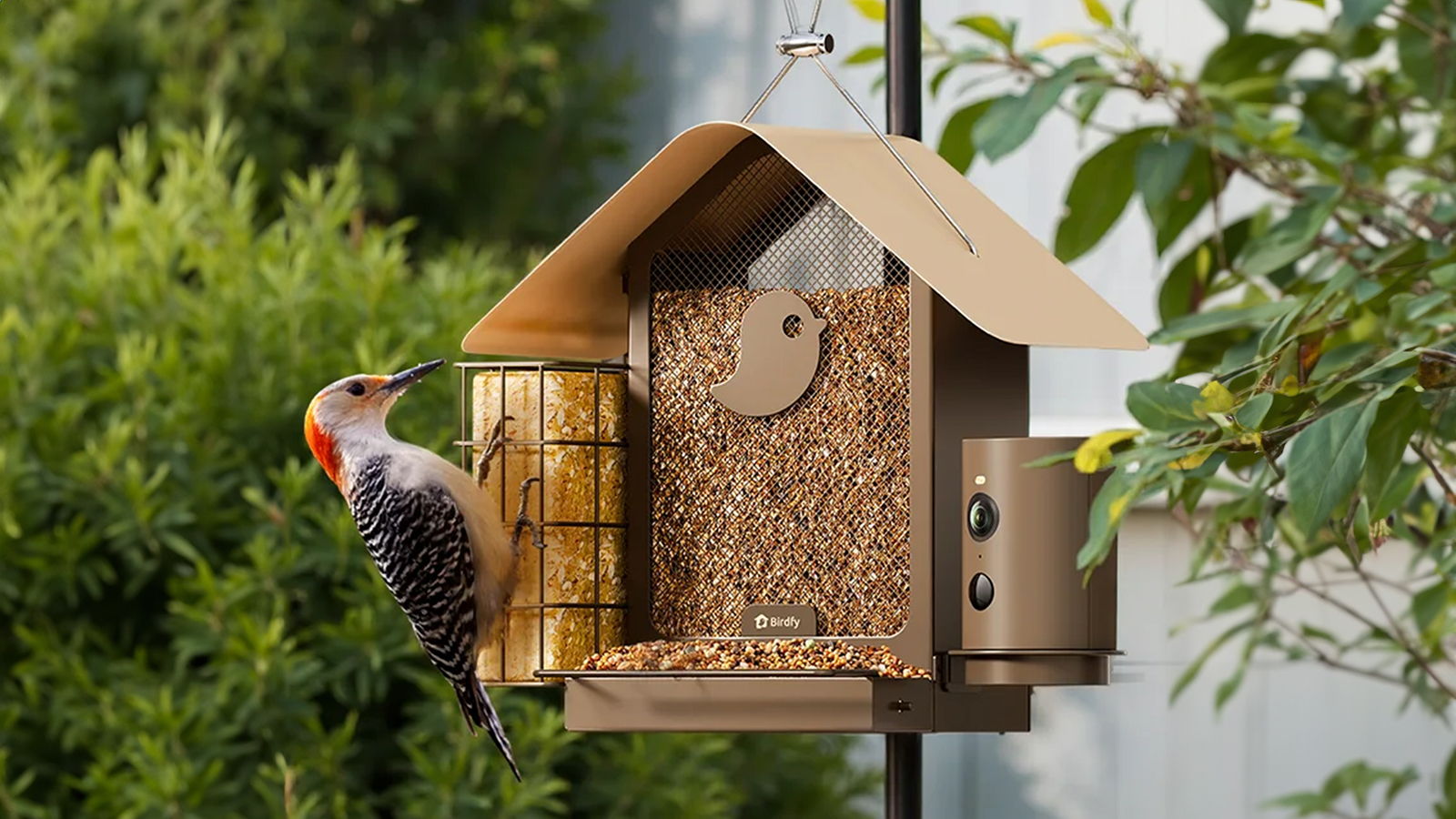 Birdfy smart feeder from Walmart