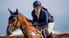 Horse rider showjumping bay horse in an air jacket