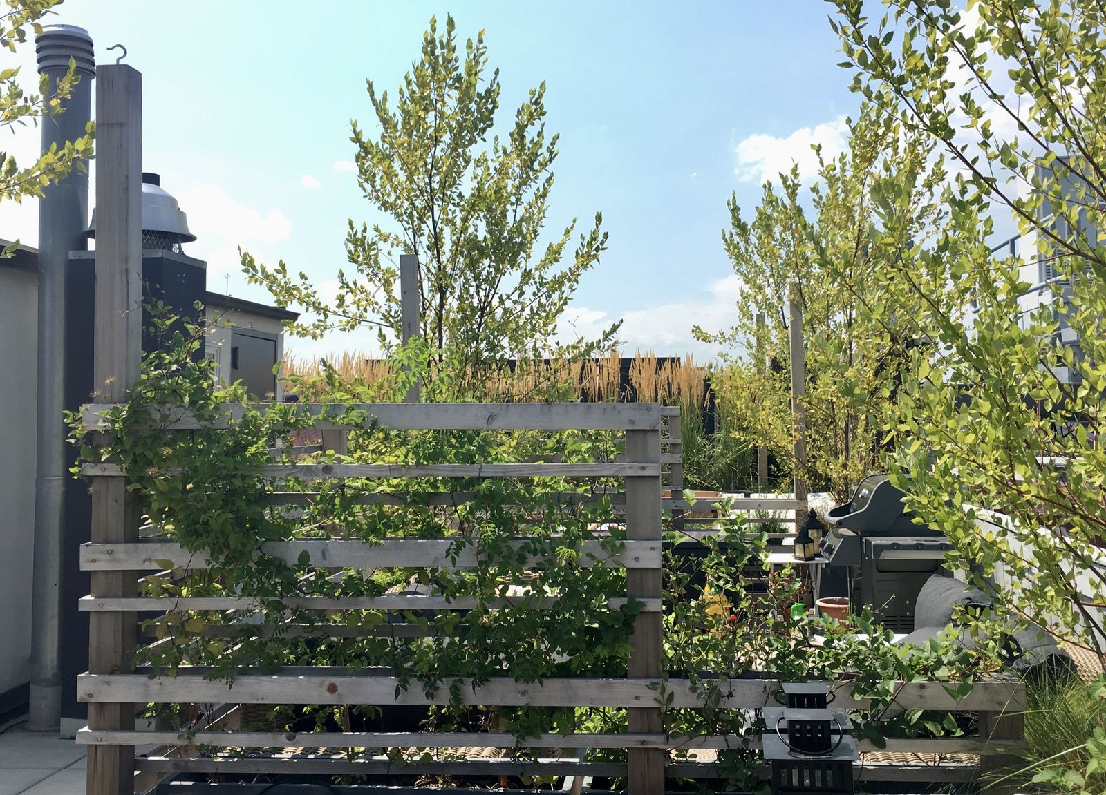 IKEA is nailing the outdoor privacy screen trend Livingetc