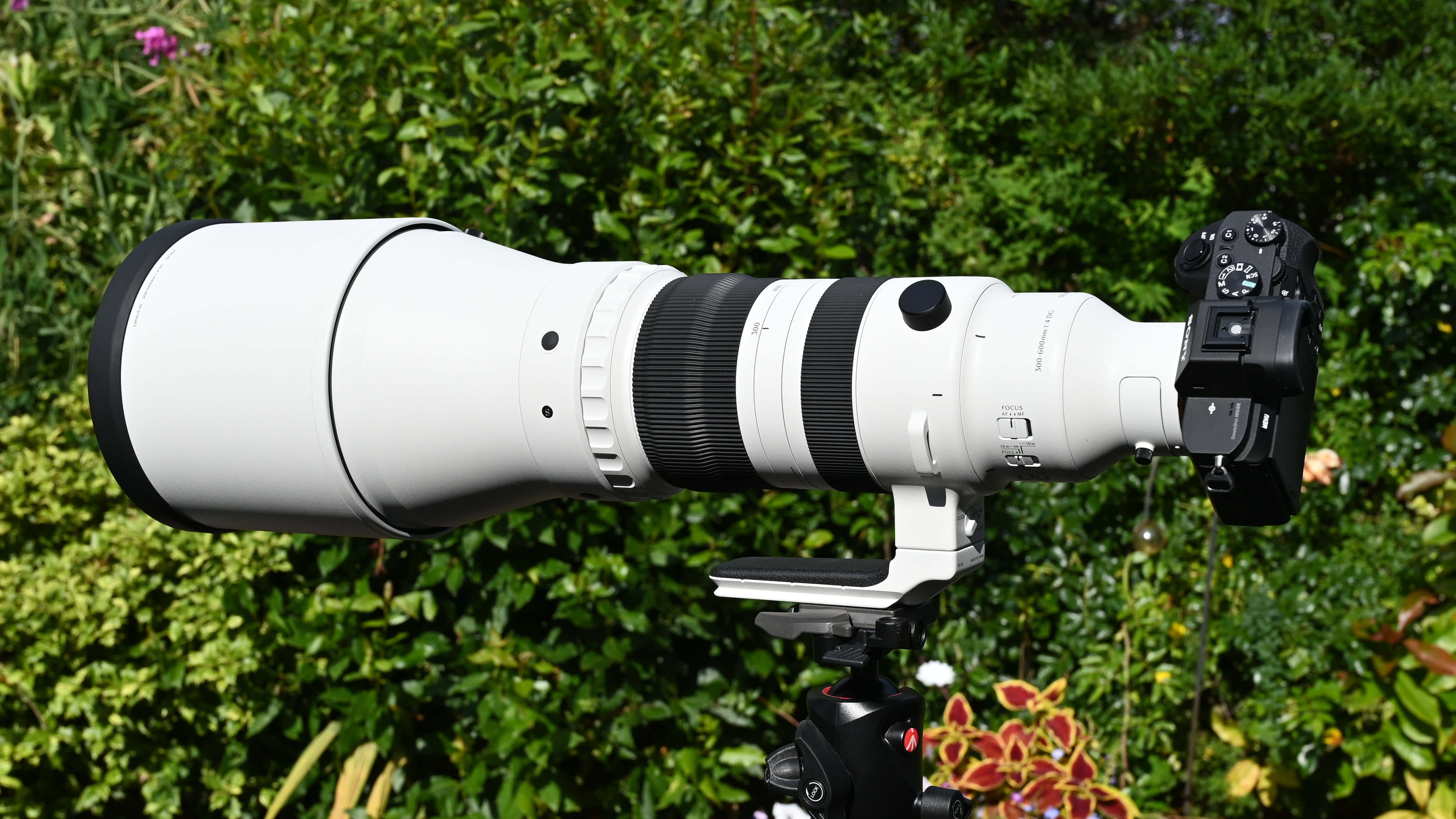 Sigma 300-600mm f/4 DG OS Sports