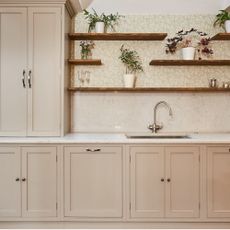 kitchen with cashmere cabinets, potted plants and wooden shelves