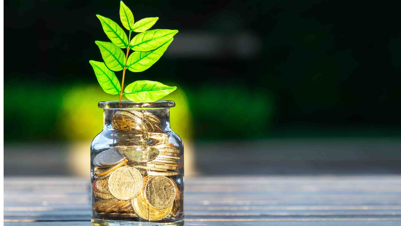 photo of a plant growing out of a jar of coins