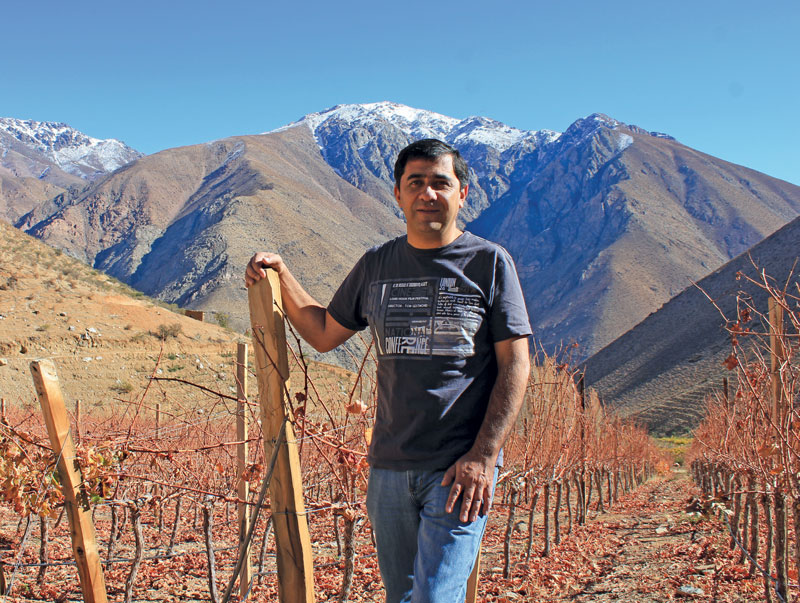 Marcelo Retamal among the young vines of the Alcohuaz vineyard in Chile&amp;rsquo;s high Elqui Valley