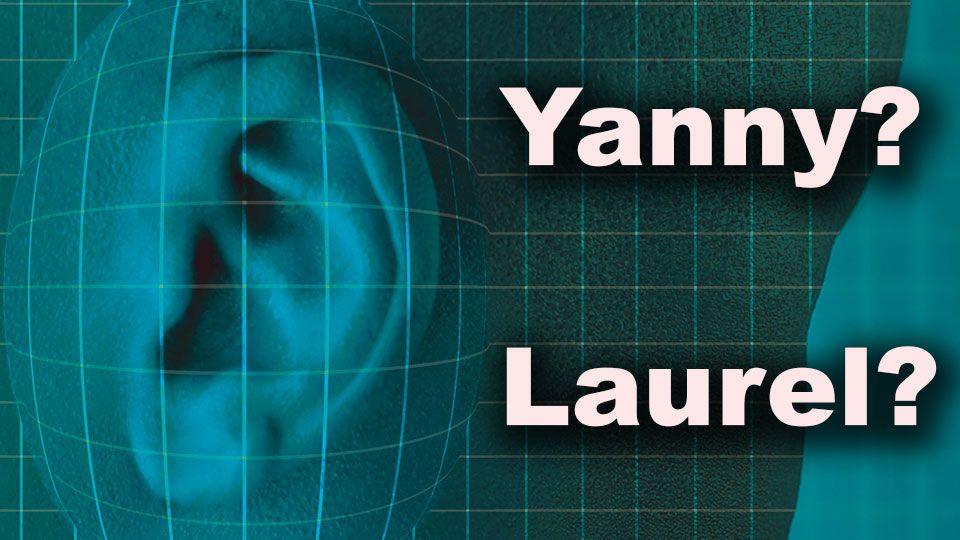 Yanny or Laurel? What the sonic trick says about your ears (and speakers)