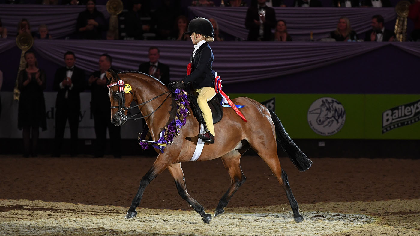 HOYS show pony champion 2022