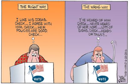 Political Cartoon U.S. 2018 primaries midterms voter