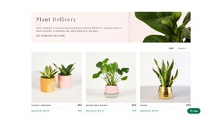 The Bouqs review: Image shows plant options available on the website.