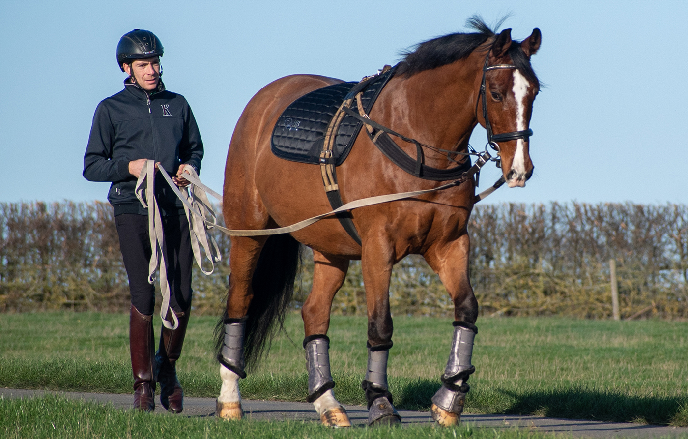 long-reining feature with Brendan Gallagher