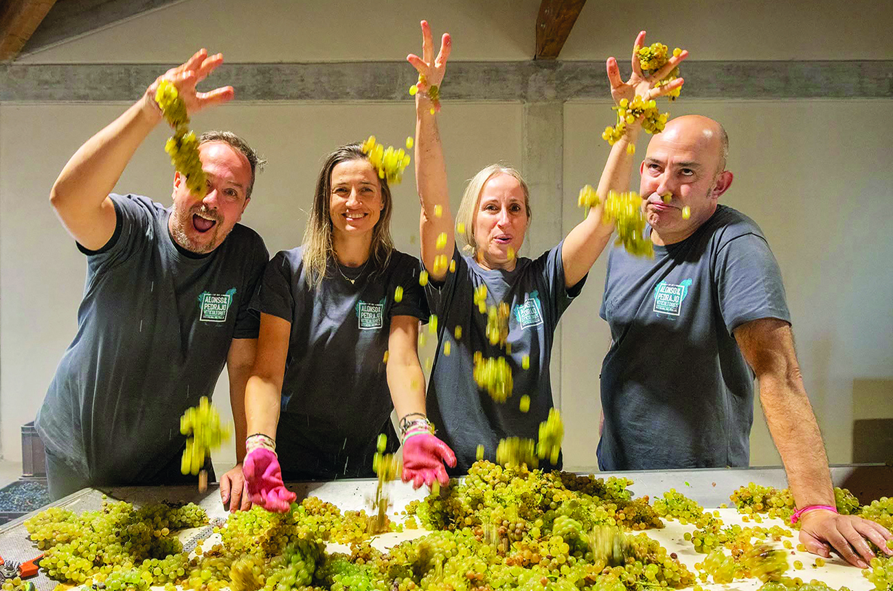 Javier Alonso, Vanessa Alonso, Gema Pedrajo and Alberto Pedrajo throwing grapes into the air