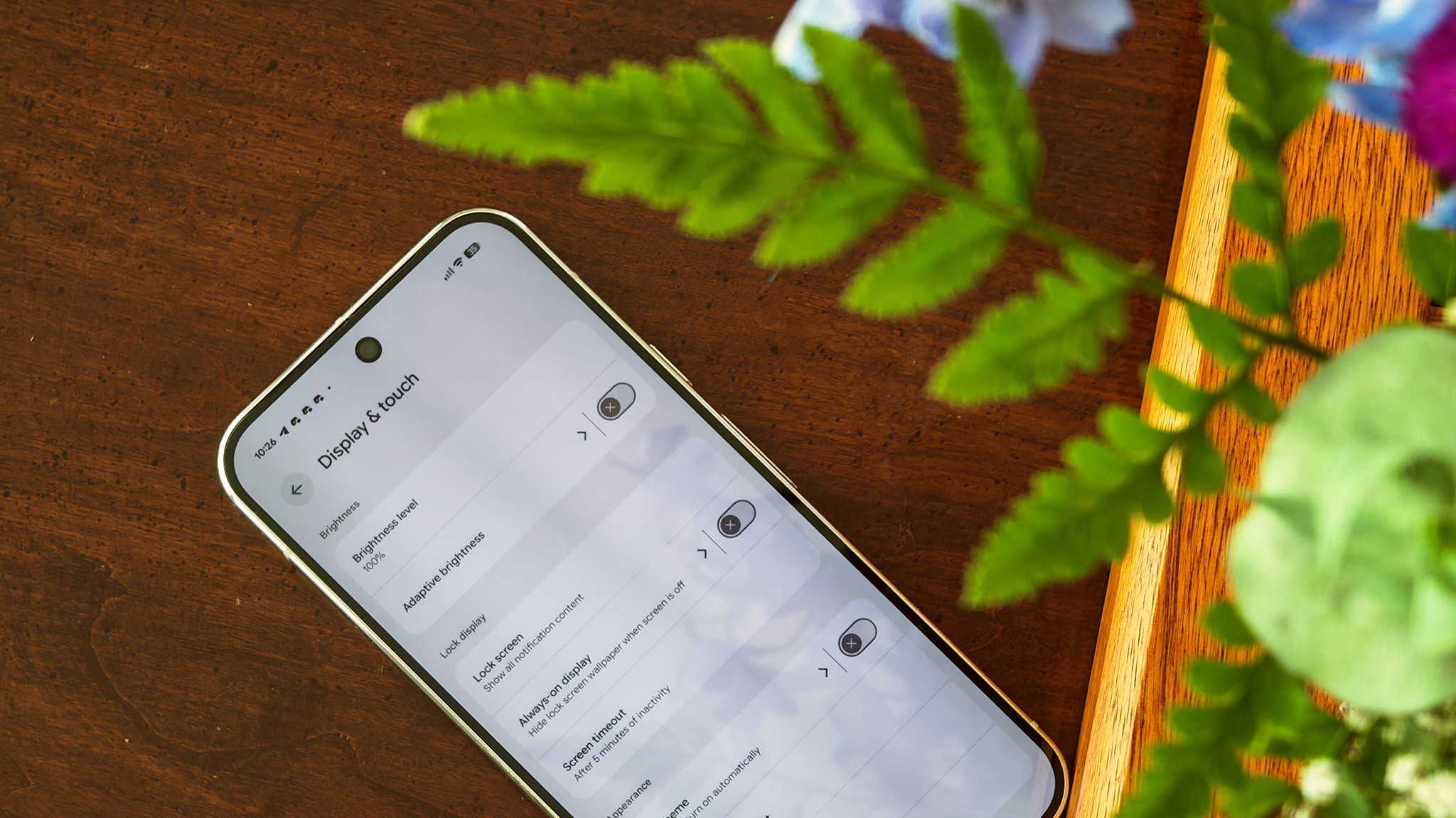 Display options on a Google Pixel 10 Pro XL with colorful flowers in the foreground