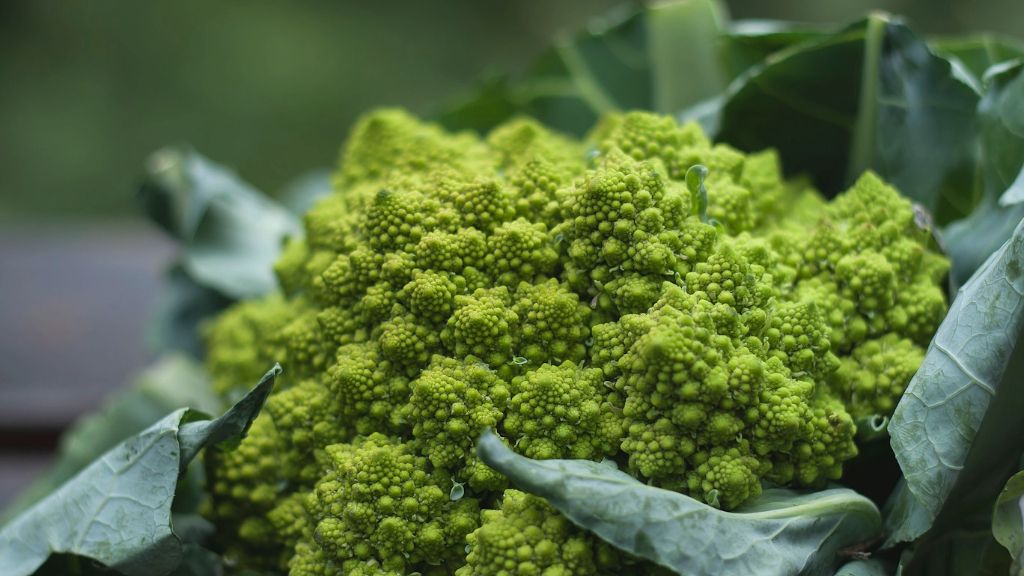 head of Romanesque broccoli 