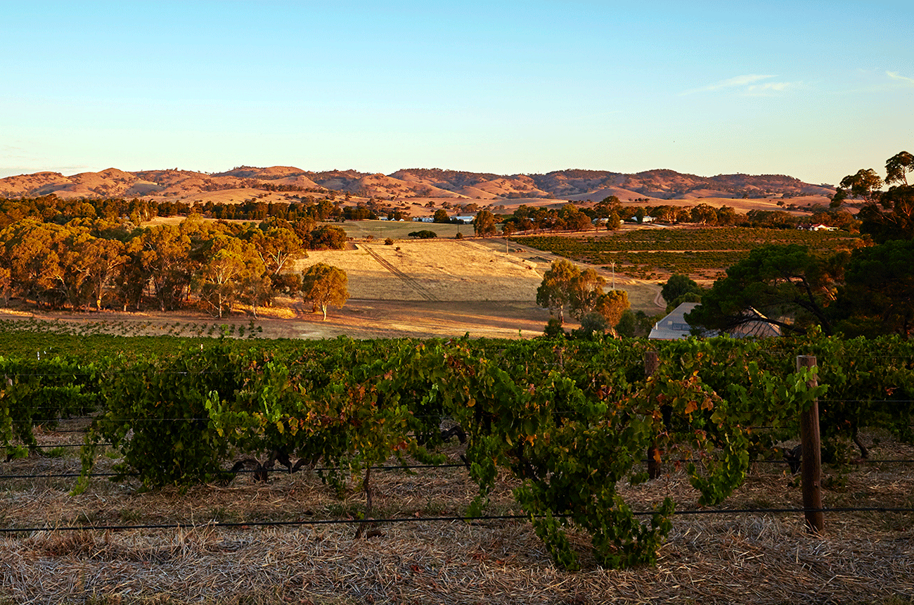 Barossa Western Ranges