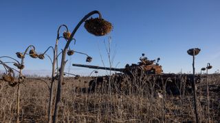 Dead sunflowers hang their heads as a destroyed Russian tank points towards a former frontline on March 06, 2023 in the Kharkiv region of northeastern Ukraine. 
