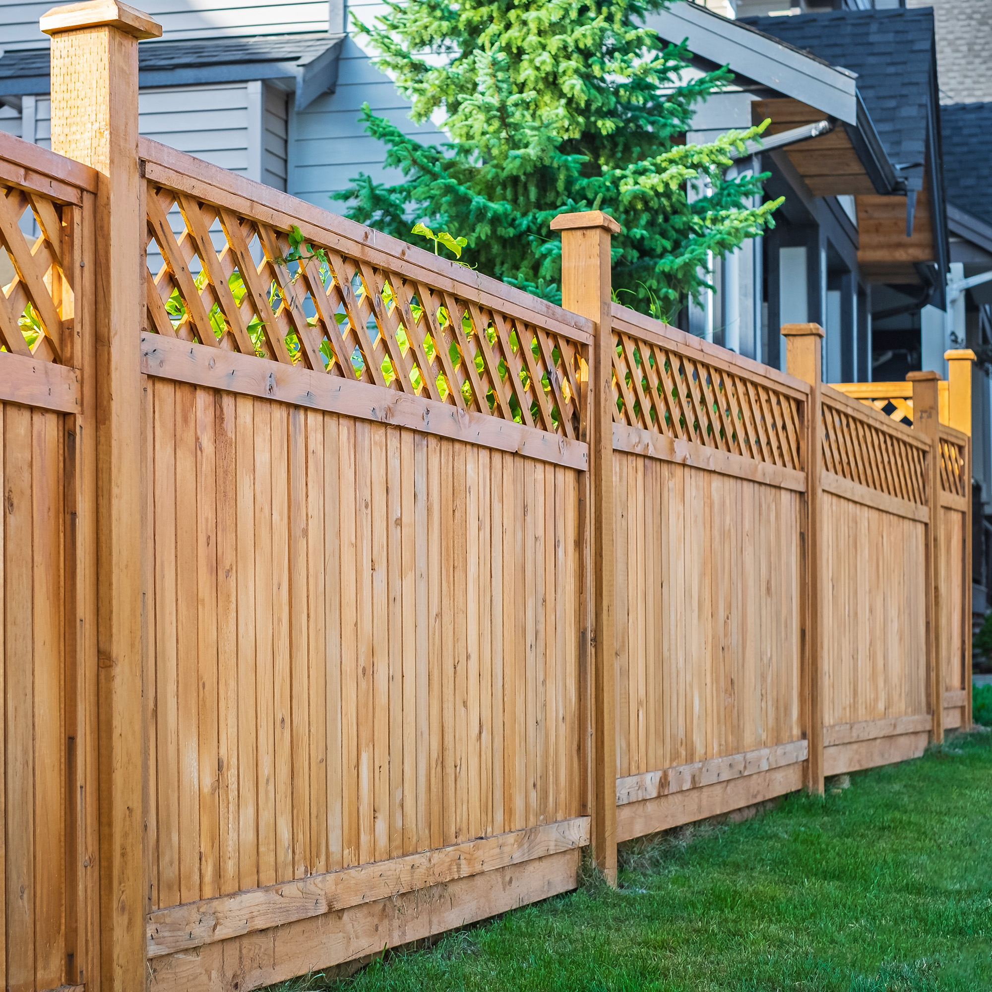 Wooden fence around house
